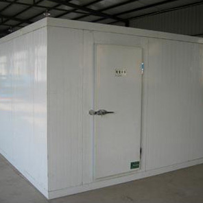 龙在华体会体育